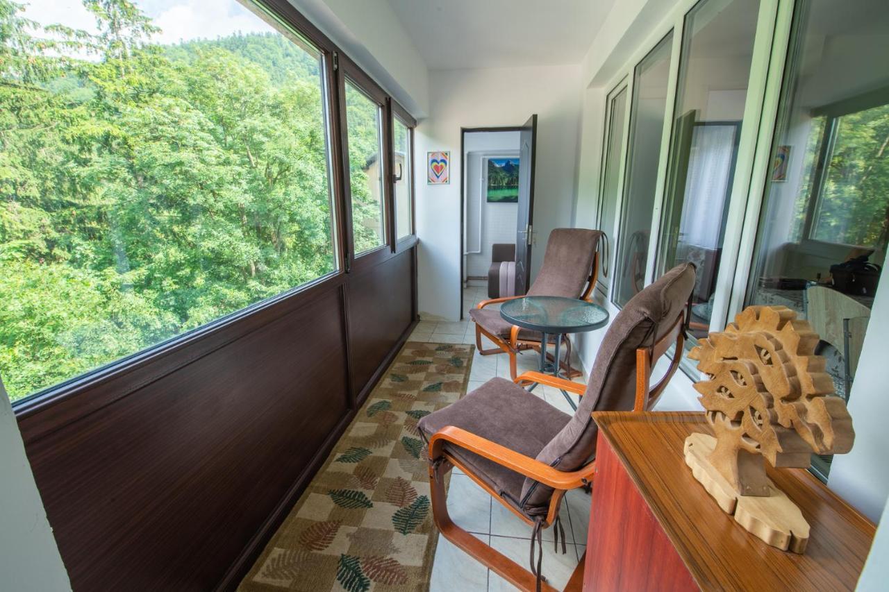 Monik Apartament Sinaia Exterior foto